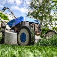 Battling Lawn Diseases
