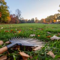 Fall lawn preparation NC with overseeding and weed control techniques