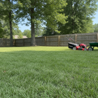 Best lawn care companies near me in Mebane NC for professional maintenance and services, showing a sunny suburban lawn with mower and tools.