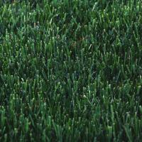 Lawn Fertilization Hillsborough, NC