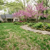 Early spring fertilization applied to tall fescue lawn in Chapel Hill, NC for healthy growth and nutrient balance