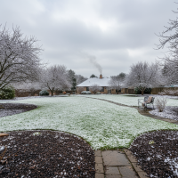 Winter lawn protection NC with mulch and damage prevention techniques