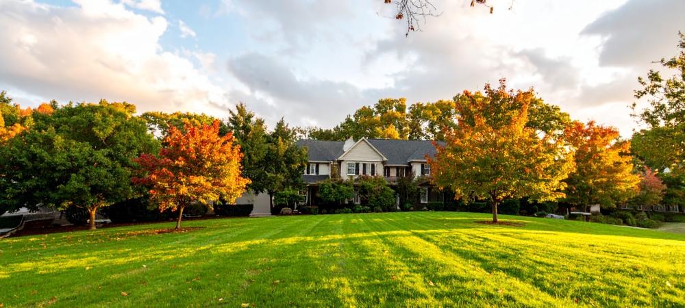 Professional lawn aeration in Hillsborough, NC, improving soil health for greener grass.