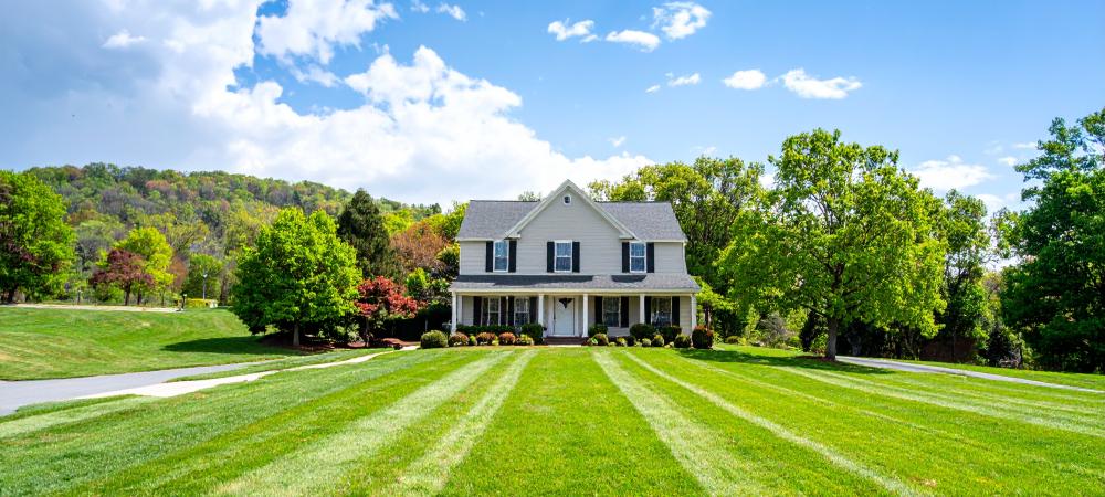 Professional lawn care in Chapel Hill, NC by Superior Green showcasing a lush green yard