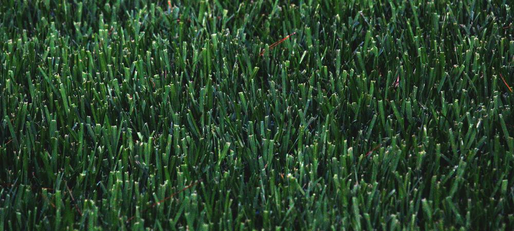 Lawn Fertilization Hillsborough, NC