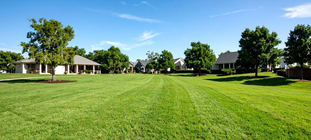 Homeowner applying lawn fertilizer to a lush Mebane yard.