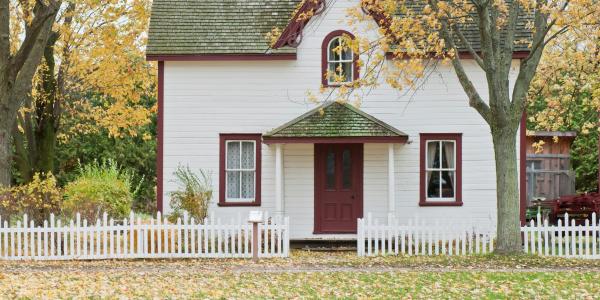 Seasonal Lawn Care Tips for a Lush Lawn in Mebane, NC